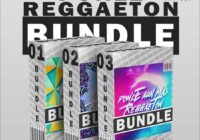 Kryptic Samples Ponle Reggaeton Bundle